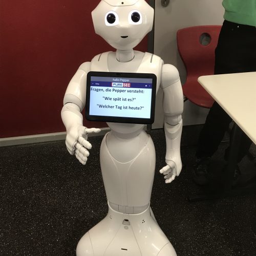 Pepper Humanoider Roboter